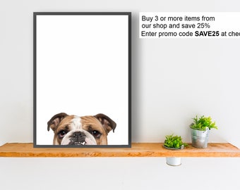 ENGLISH BULLDOG dog print poster wall art peeper gift present