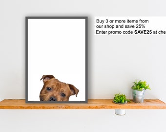 STAFFORDSHIRE BULL TERRIER Staffy Hund Druck Plakat Wand Kunst Peeper Geschenk vorhanden