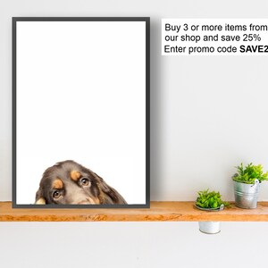 COCKER SPANIEL INGLÉS perro impresión cartel pared arte mirón regalo presente