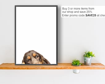 ENGLISH COCKER SPANIEL dog print poster wall art peeper gift present