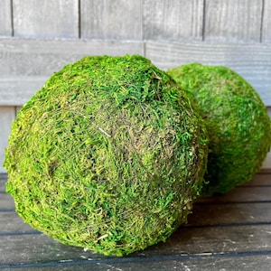 May include: Two green moss balls, perfect for adding a touch of nature to your home decor.