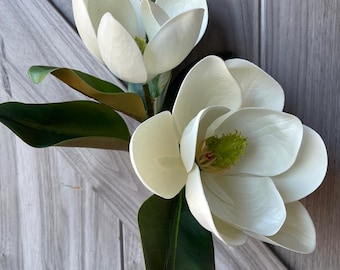 Könnte beinhalten: Zwei große, weiße Magnolienblüten mit grünen Zentren und dunkelgrünen Blättern. Die Blütenblätter sind geschichtet und strukturiert. Die Blumen sind vor einem grauen Holzgrund platziert, was eine natürliche und elegante Ästhetik erzeugt.