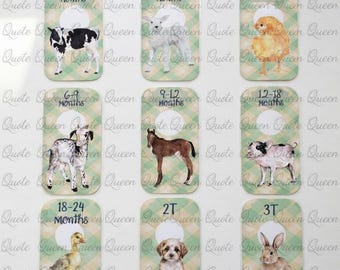 Farm Animal Nursery Closet Dividers, Laminated Baby Clothes Organizer