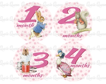 Beatrix Potter Baby Monthly Stickers, 12-Count Photo Set, 4-Inch Pre-Cut