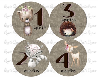Woodland Animals Baby Monthly Stickers, Girl Milestone Photo Props
