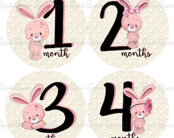 Pink Bunny Baby Monthly Stickers, Milestone Photo Props Set