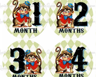 FREE GIFT! Vintage Monkey Baby Monthly Stickers, Milestone Photo Prop Set