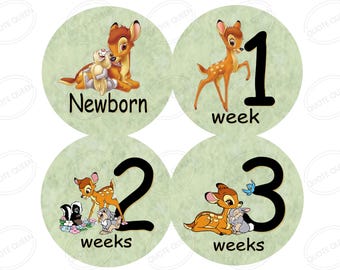 Monthly Milestone Stickers Set in Bambi and Thumper Inspired Theme