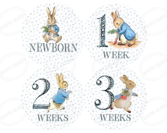 FREE GIFT! Peter Rabbit Baby Monthly Stickers, Newborn Photo Prop, Milestone Set