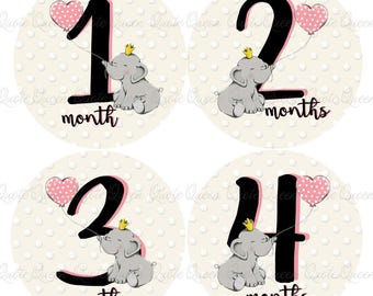 FREE GIFT! Elephant Baby Monthly Stickers, Newborn Photo Prop