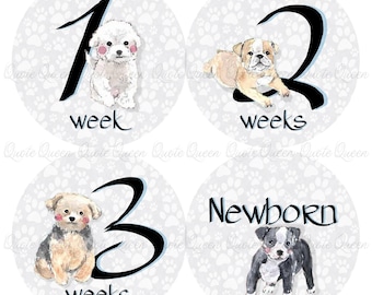 FREE GIFT! Puppy Monthly Milestone Stickers, Baby Shower Set
