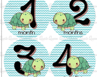 FREE GIFT! Turtle Baby Monthly Stickers, Aqua Chevron Set, Photo Prop Set