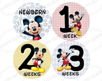 FREE GIFT, Mickey Mouse Disney Babies Monthly Milestone Stickers