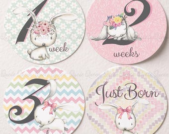 White Bunny Monthly Stickers, 12-Month Baby Set, 4-Inch Onesie Photo Props