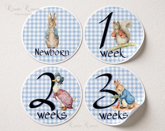 Beatrix Potter Baby Monthly Stickers, Blue Gingham Onesie Stickers
