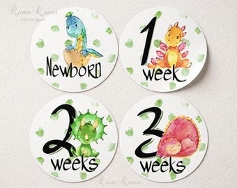 Dinosaur Baby Milestone Stickers, Newborn to 12 Weeks, Photo Prop Set