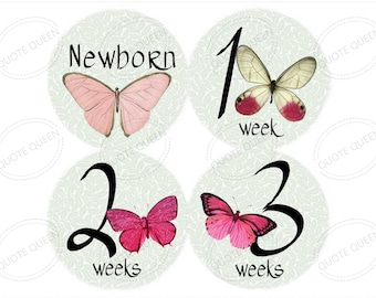 Butterfly Baby Milestone Stickers, Newborn to 12 Months