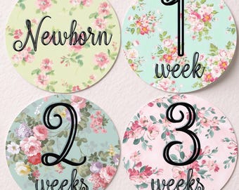 FREE GIFT! Baby Girl Monthly Stickers, Floral Milestone Photo Prop Set