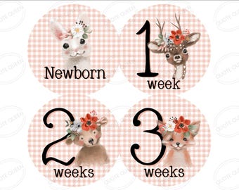 Woodland Baby Monthly Stickers, Girl Tracker Photo Props, Milestone Set with Free Gift