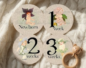 Flower Fairy Baby Monthly Milestone Stickers, 4-Inch First Year Set