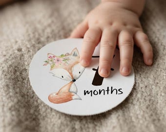 Pink Chevron Baby Monthly Stickers, Woodland Animals, Months 1-12
