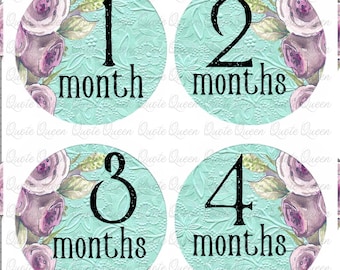 Mint Floral Baby Monthly Stickers, 12-Month Photo Set with 4-Inch Pre-Cut Pieces