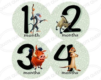 FREE GIFT! Lion King Inspired Character Baby Monthly Stickers, Milestone Photo Prop Set