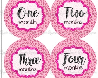 Pink Leopard Baby Monthly Stickers, Milestone Photo Prop