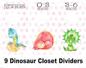 Dinosaur Closet Dividers, Pink Polka Dot Laminated Set of 9, Double-Sided Nursery Organizer