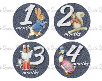 Beatrix Potter Monthly Baby Stickers, 12-Month Set with 4-Inch Pre-Cut Photo Props