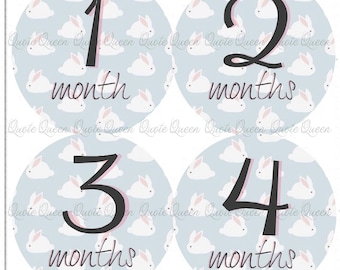 Bunny Rabbit Baby Monthly Stickers, Shower Gift