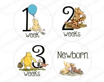 Classic Winnie the Pooh Baby Monthly Stickers, Milestone Photo Props Set