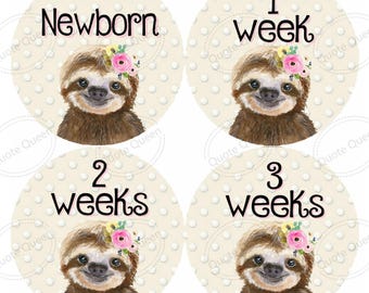 Baby Monthly Stickers, Sloth Design, 12-Month Set, 4-Inch Pre-Cut, Milestone Photo Prop Set