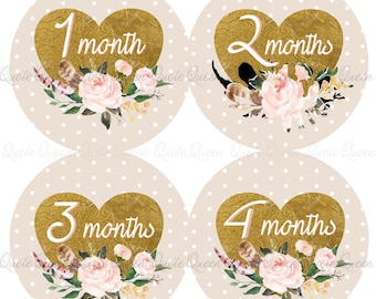 Gold Heart Baby Monthly Stickers, Floral Milestone Photo Props Set and Free Gift