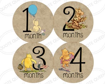 Winnie the Pooh Baby Monthly Stickers, Milestone Photo Props Set