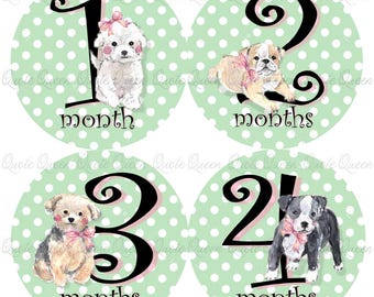 Puppy Dog Mint Polka Dot Theme Monthly Milestone Stickers Set