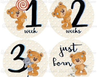 FREE GIFT! Baby Bear Monthly Stickers, Milestone Photo Prop Set