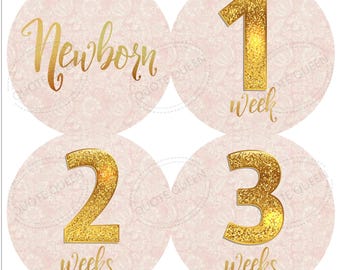 Blush and Gold Milestone Stickers, Baby Shower Gift, Monthly Photo Props, New Mother Set