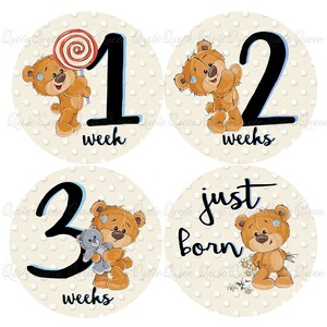 FREE GIFT, Baby Bear Monthly Stickers, Bear Monthly Stickers, Monthly Stickers, Onesie Stickers, Baby Gift, Baby Shower Gift image 4