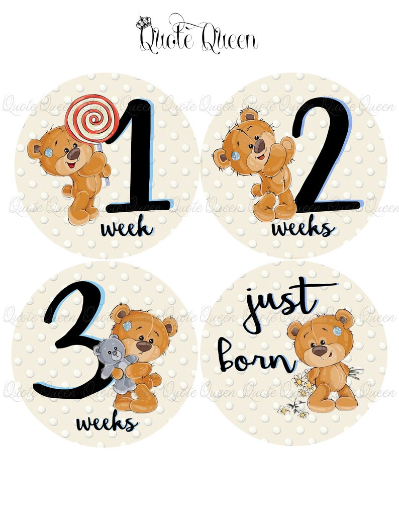 FREE GIFT, Baby Bear Monthly Stickers, Bear Monthly Stickers, Monthly Stickers, Onesie Stickers, Baby Gift, Baby Shower Gift image 4