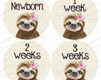 FREE GIFT, Sloths Monthly Stickers, Sloths Monthly Stickers, Sloth, Monthly Stickers, Shower Gift,Baby Monthly Stickers,Baby Sloth,Baby Girl