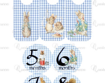 Beatrix Potter Closet Dividers and Monthly Stickers, Beatrix Potter Nursery Dividers, Beatrix Potter Blue Checked Background Baby Shower
