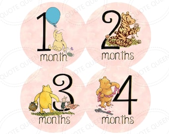 FREE GIFT! Winnie the Pooh Monthly Baby Stickers, First Year Photo Prop