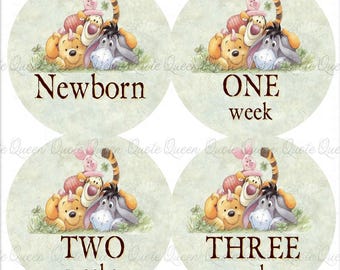 Winnie The Poo Monthly Stickers, 4-Inch Baby Photo Props, Months 1-12