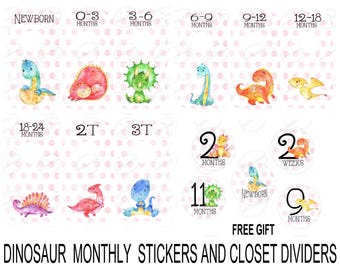 Dinosaur Pink Polka Dot, Baby Monthly Stickers and Closet Dividers Set, FREE Gift!