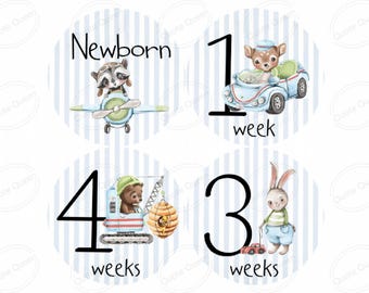 Baby Boy Monthly Milestone Stickers – 4" Pre-Cut Photo Props (Set of 12 + Newborn Bonus)