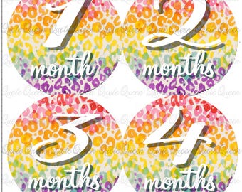 Rainbow Leopard Baby Monthly Stickers, 4-Inch Pre-Cut Animal Print Set