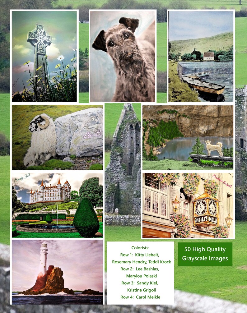 Download PDF of Scenic Ireland: A Grayscale Coloring Book by Leila | Etsy