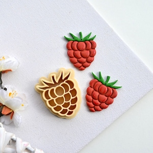 Frambozenvormpjes van polymeerklei | Fruitvormpjes voor de zomer