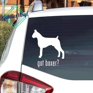 Got Boxer? - Vinyl Die Cut Decal Sticker